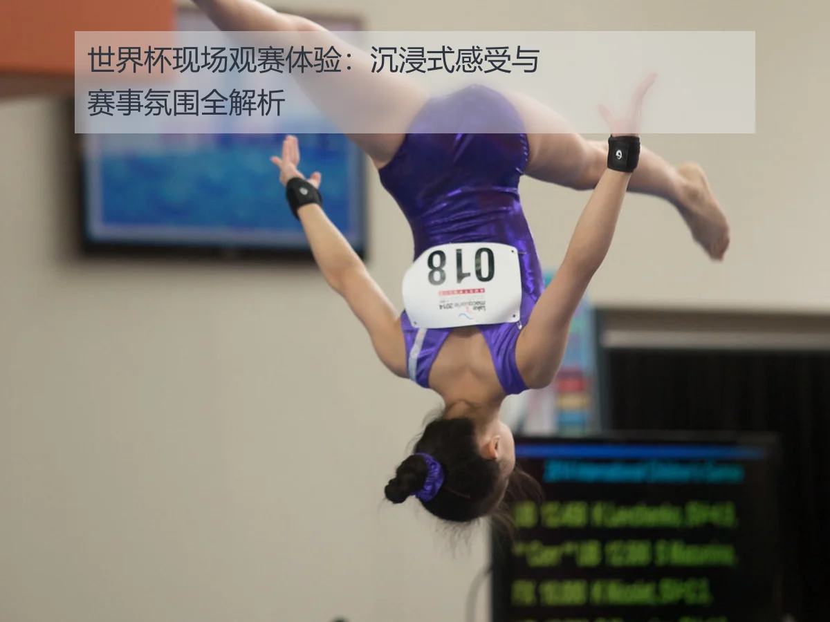 世界杯现场观赛体验:沉浸式感受与赛事氛围全解析